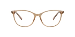 clearly Glasses daydream