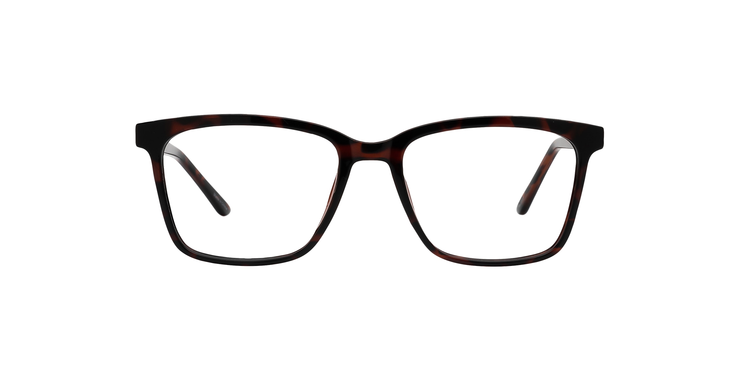 Clearly Glasses BURIN