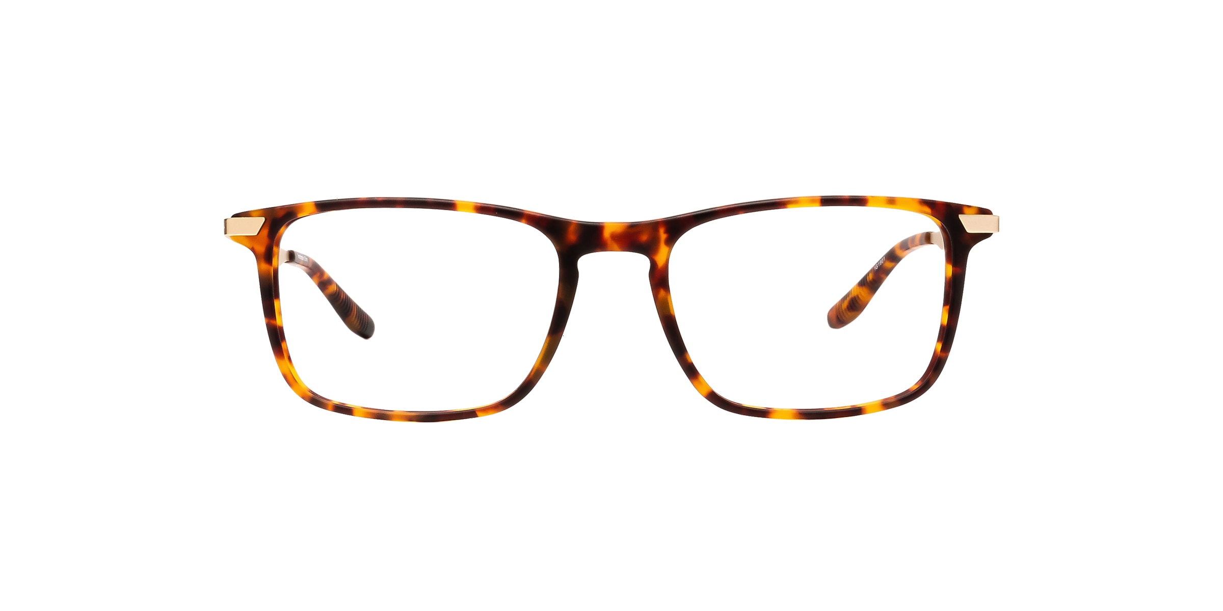 Clearly Glasses DARCY