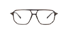 clearly Glasses tiger