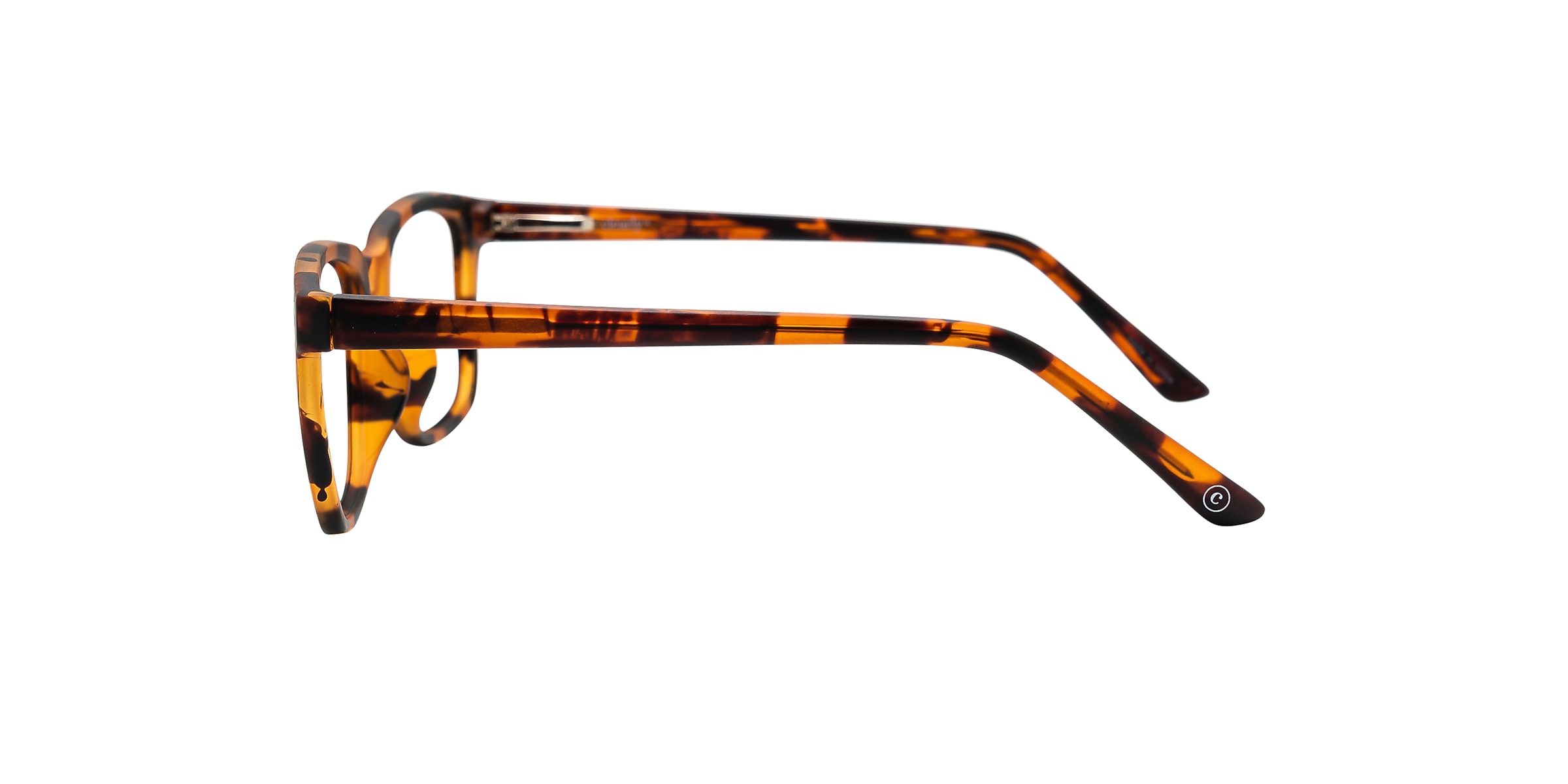 Clearly Glasses SALIX