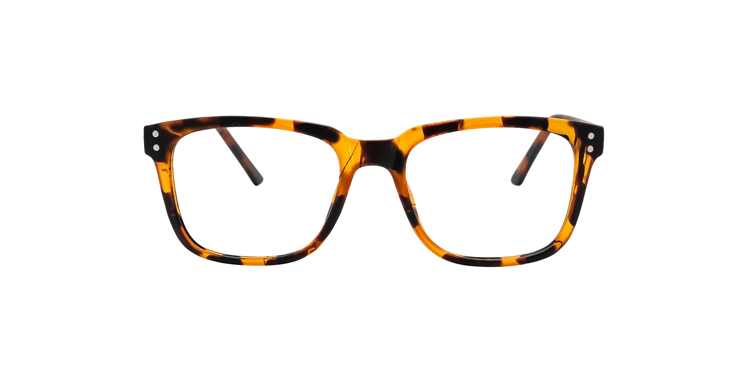 Clearly Glasses SALIX