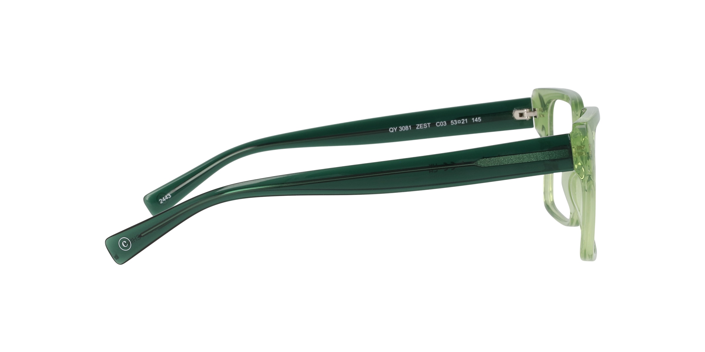 Clearly Glasses ZEST