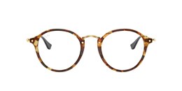ray-ban Glasses rb2447v round fleck optics