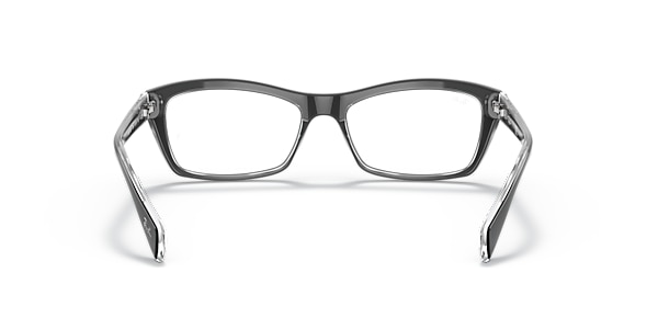 RB5255 OPTICS