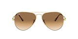 Ray-Ban Sunglasses RB3689 AVIATOR METAL II