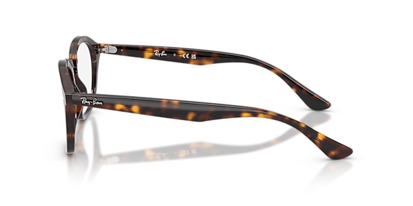 RB5451 OPTICS