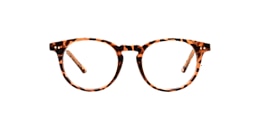 clearly Glasses joey