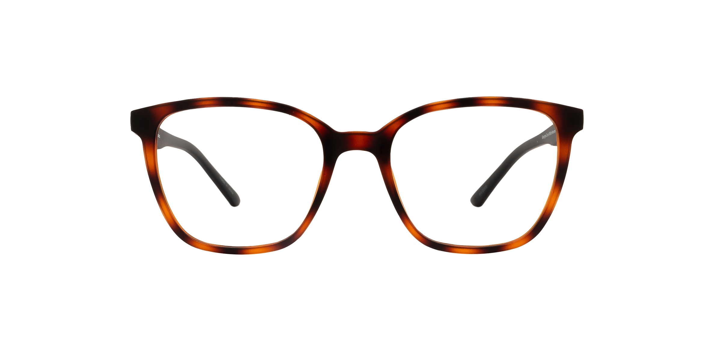 Clearly Glasses GEORGES COVE