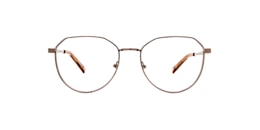 clearly Glasses arche