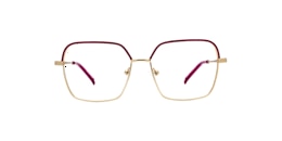 clearly Glasses erinome