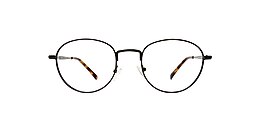 Main And Central Glasses BUCKTOWN