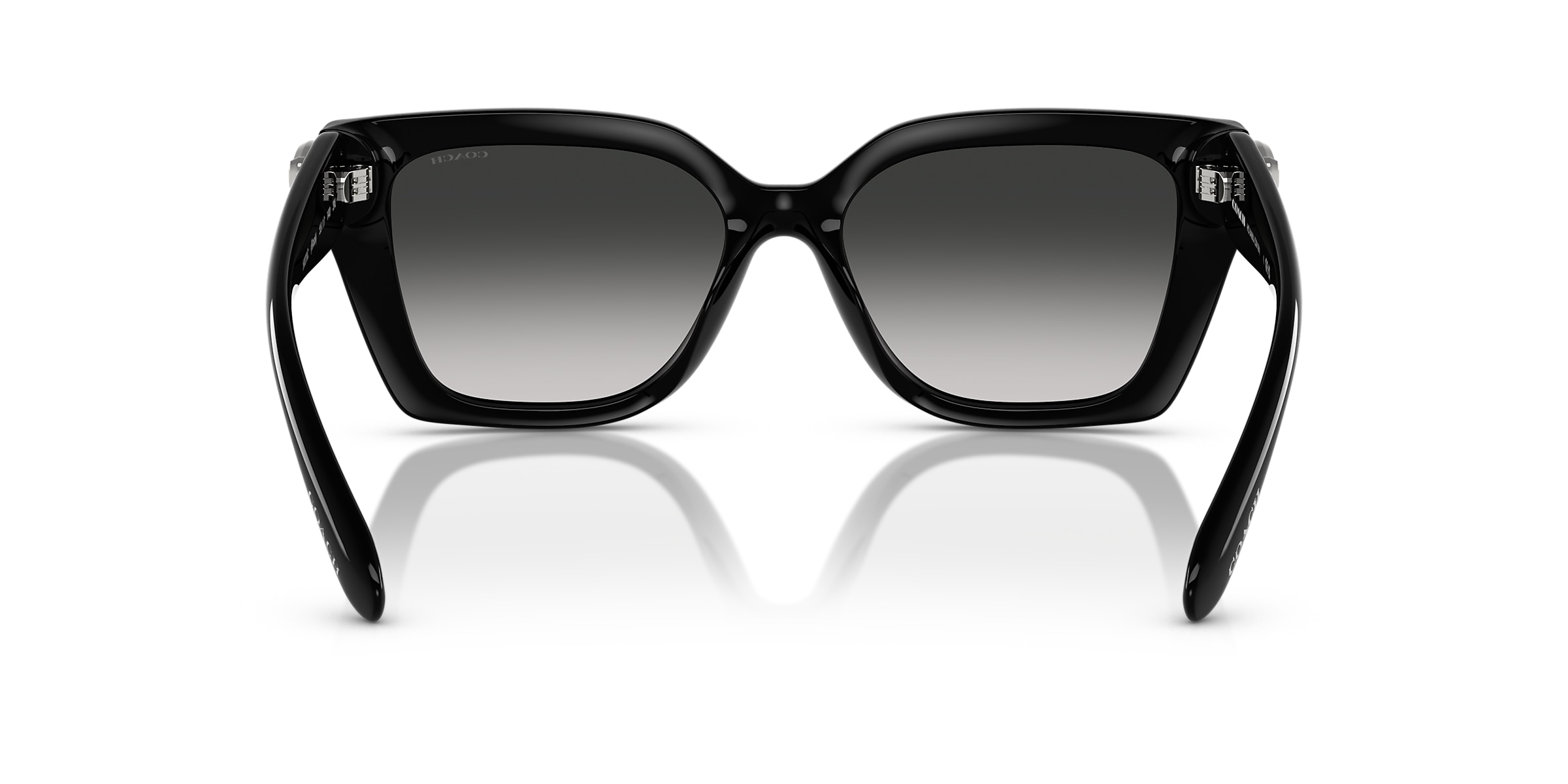 Coach Sunglasses HC8408U CW195