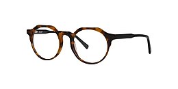 Clearly Glasses ISOETES
