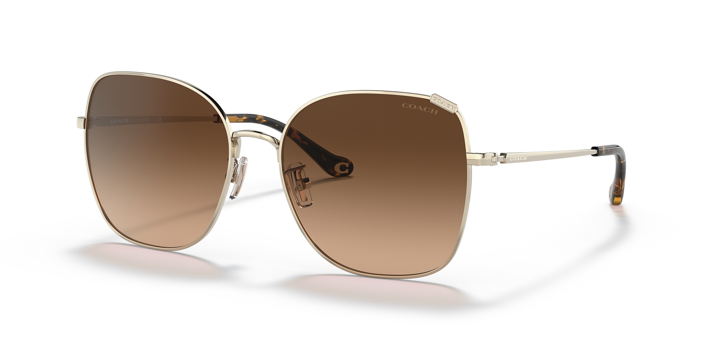 Coach Sunglasses HC7133 C7997