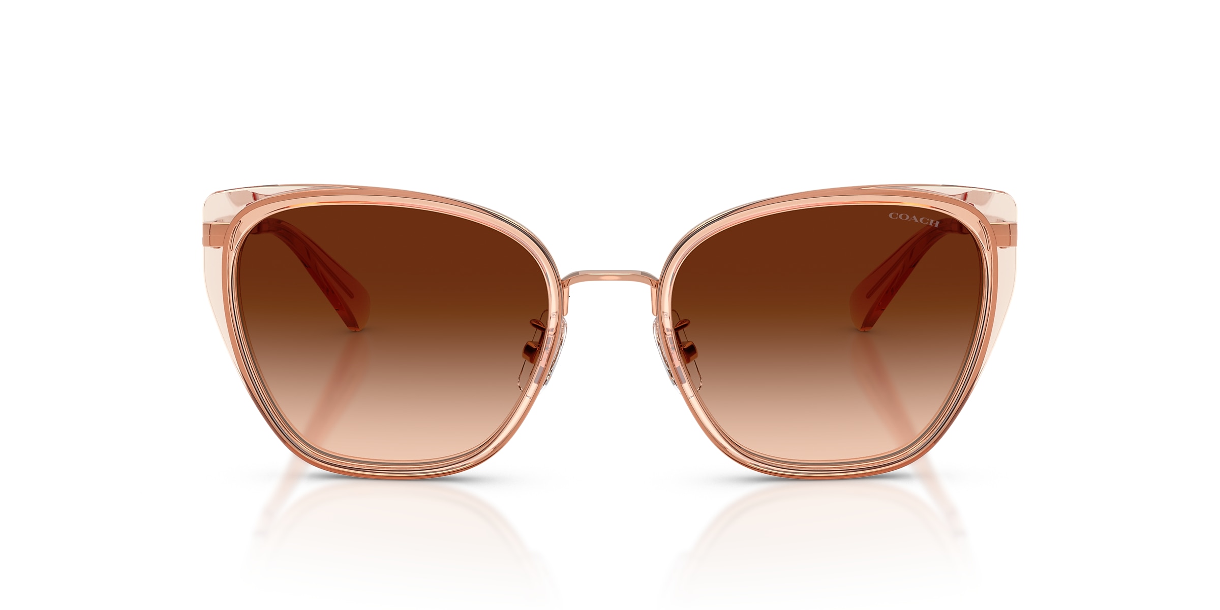 Coach Sunglasses HC7187 CDP56