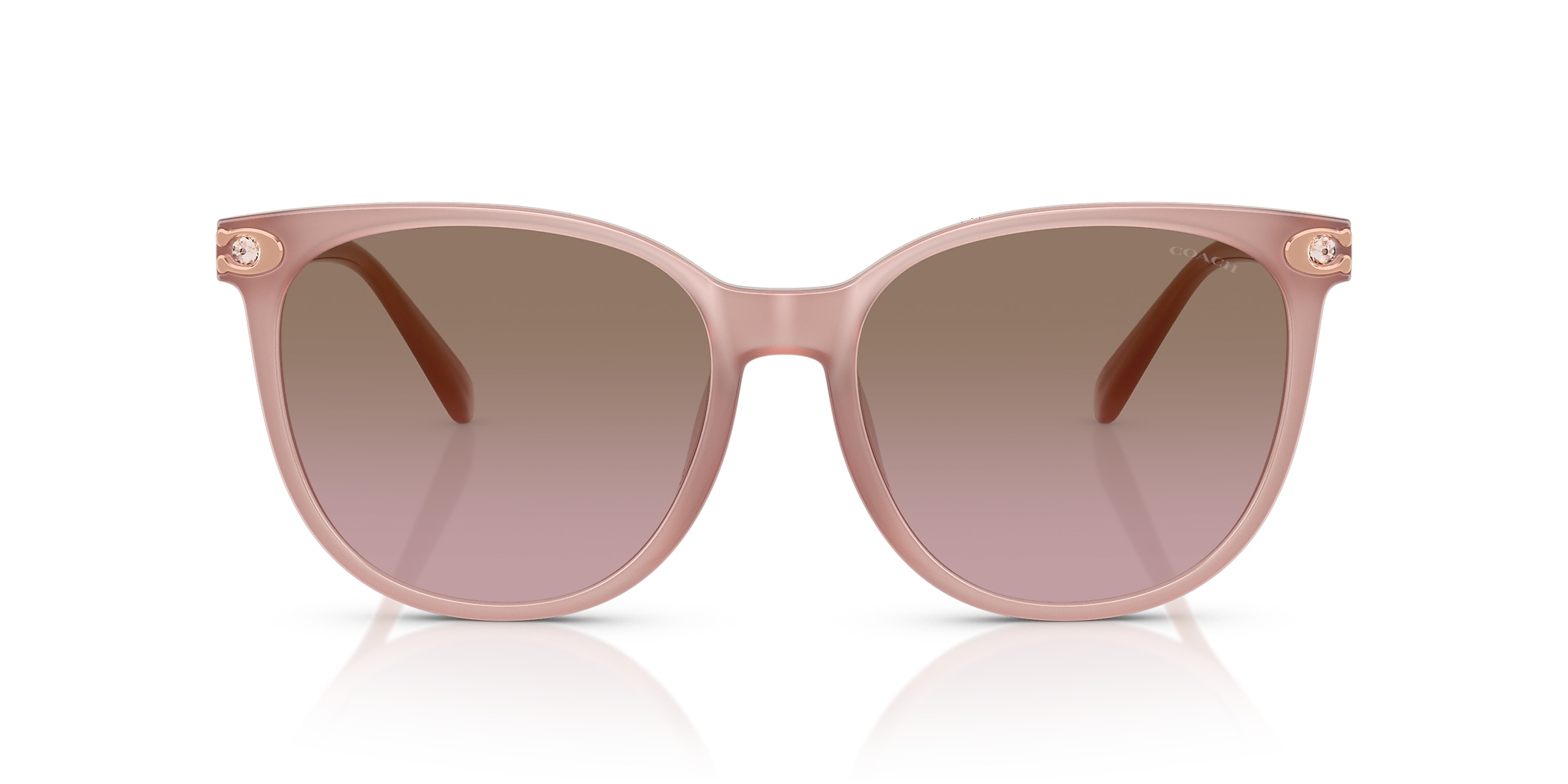 Coach Sunglasses HC8414BD CW428