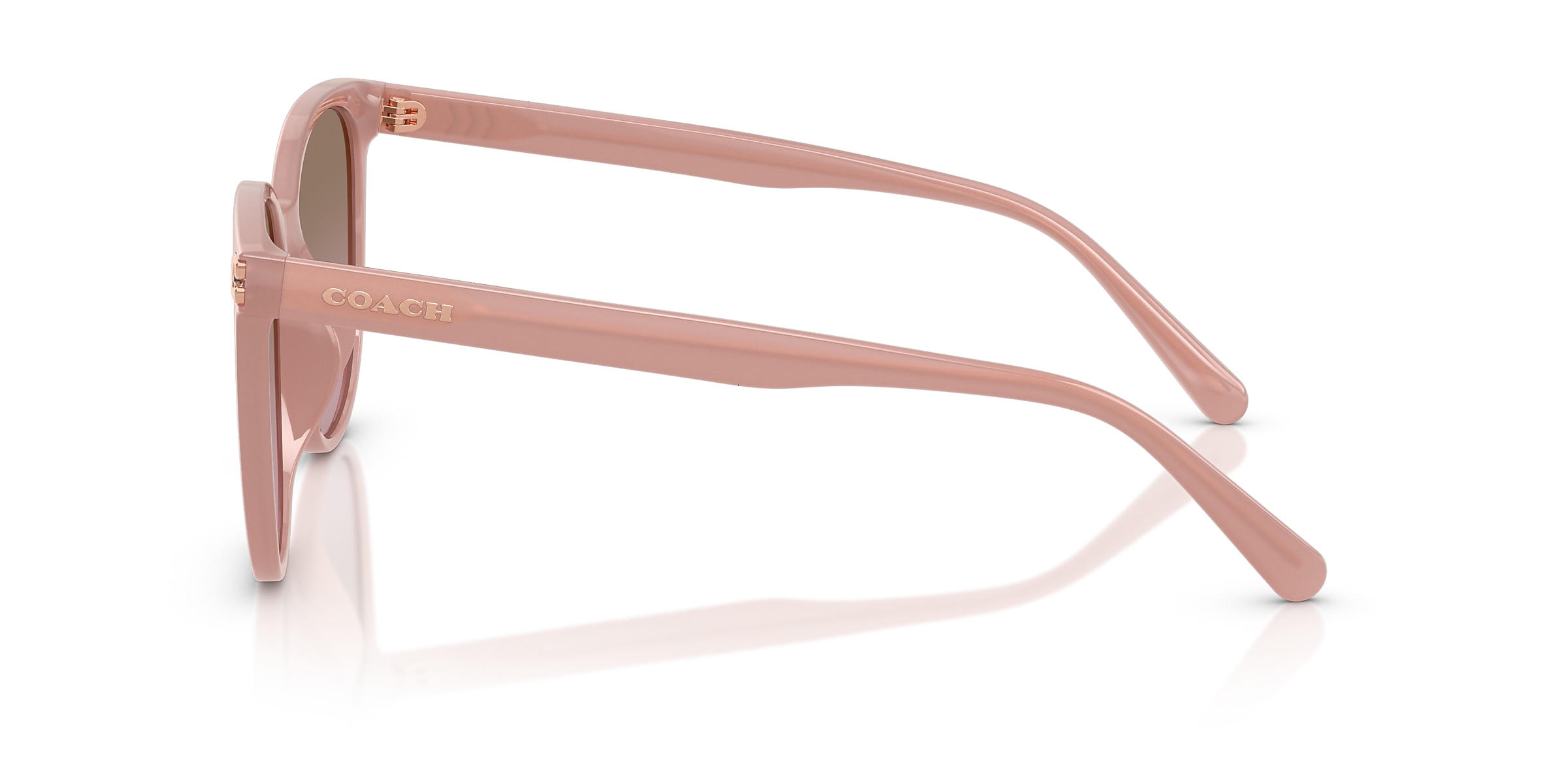 Coach Sunglasses HC8414BD CW428