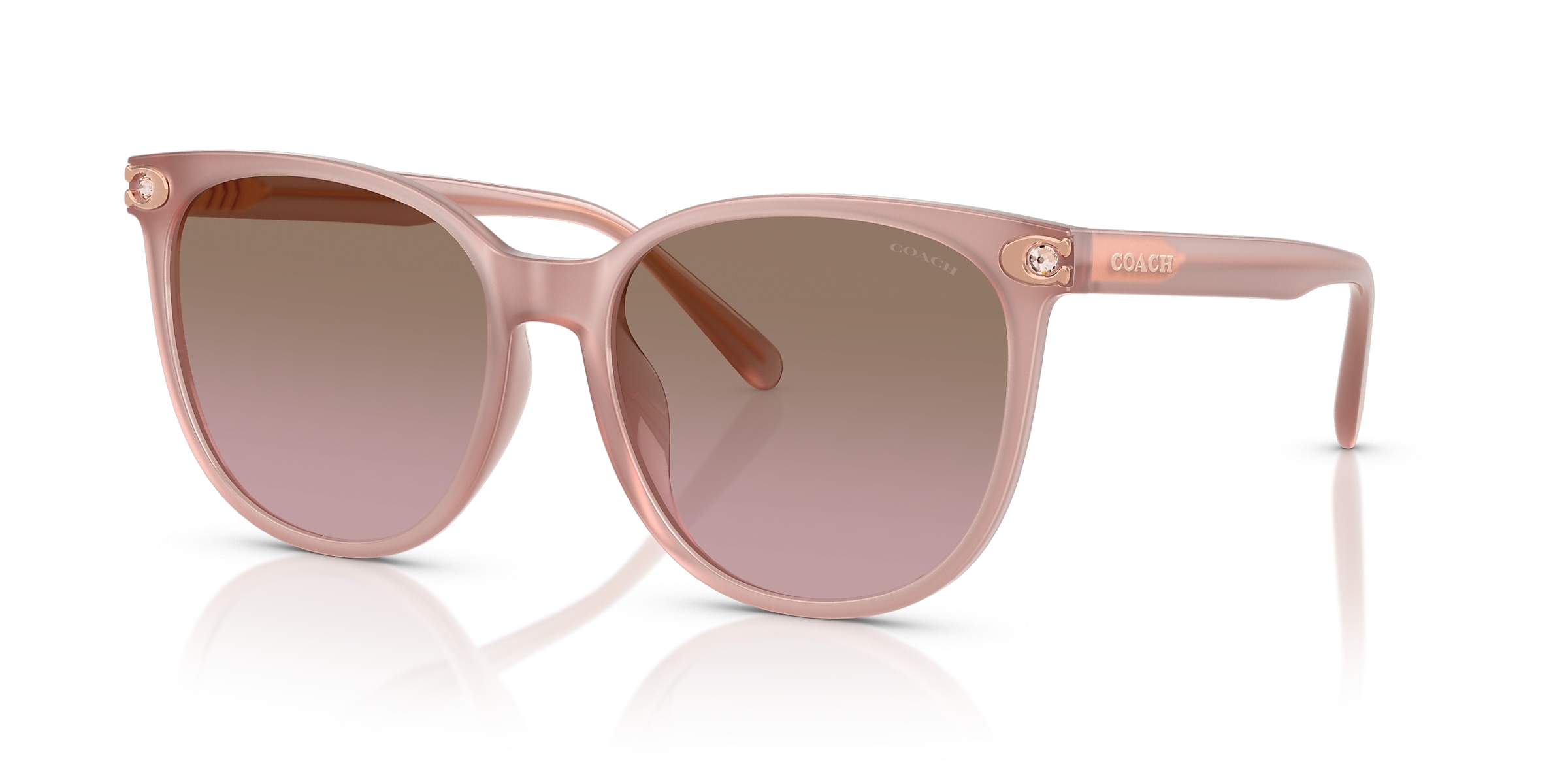 Coach Sunglasses HC8414BD CW428