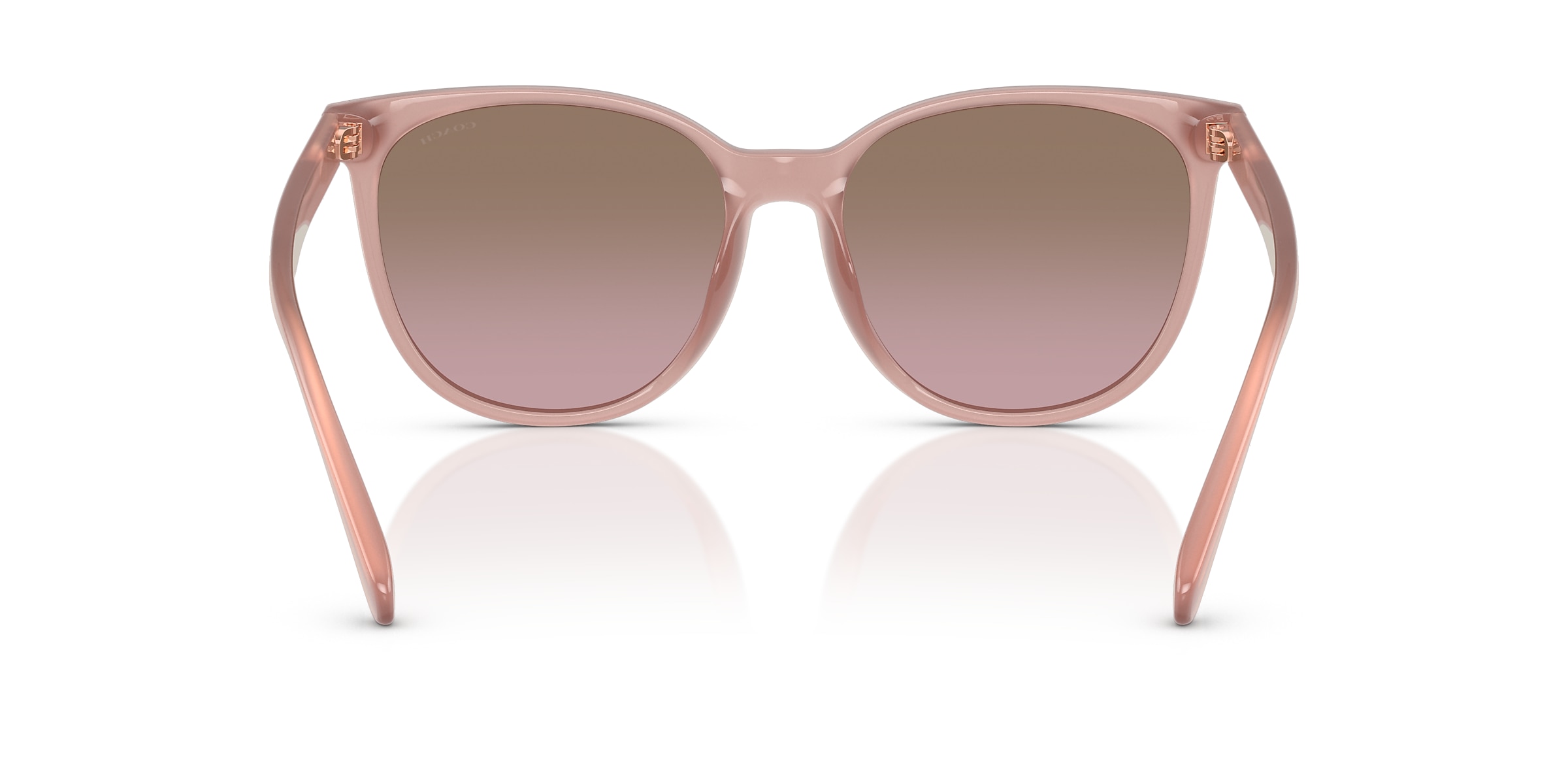 Coach Sunglasses HC8414BD CW428