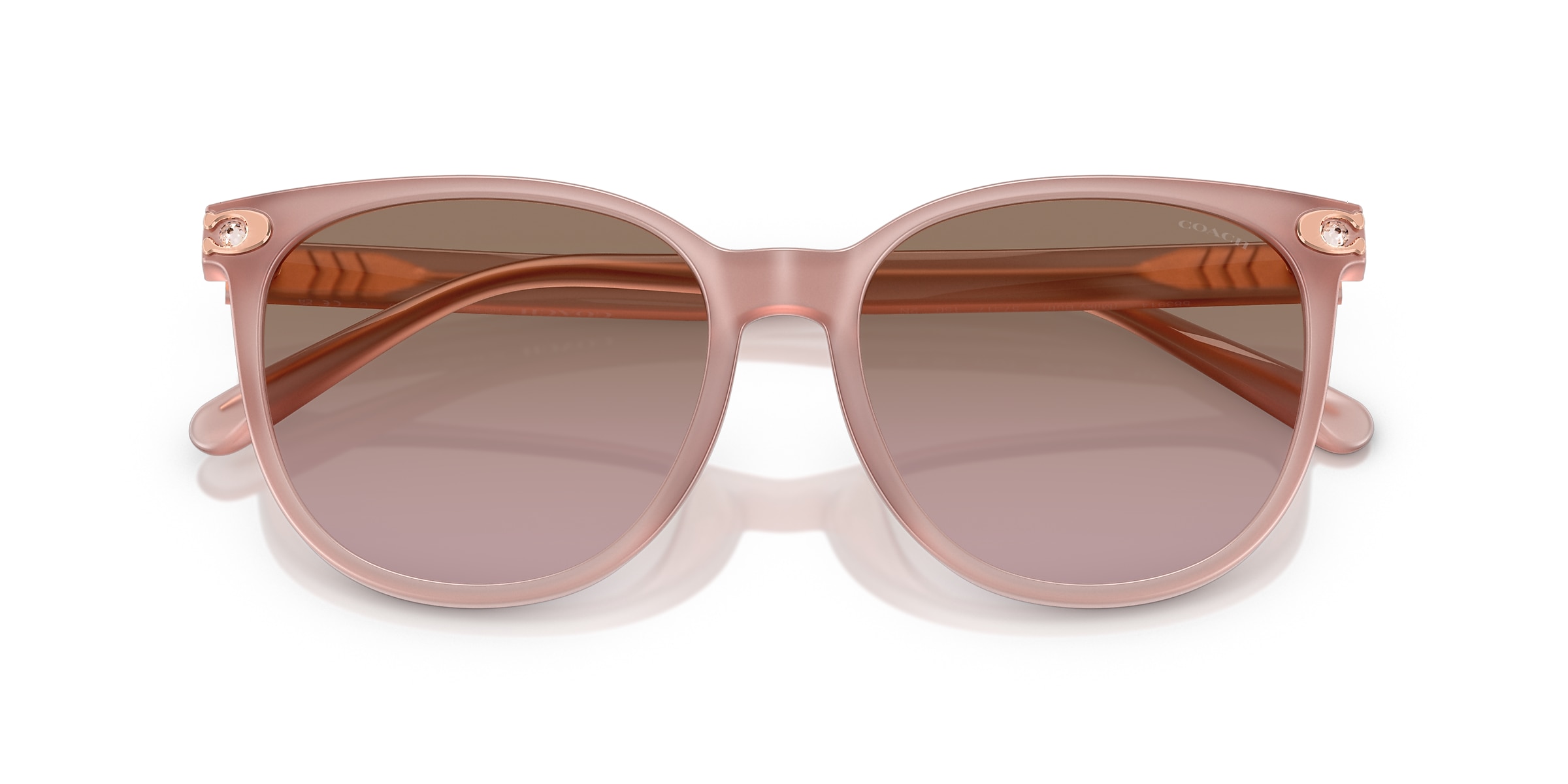 Coach Sunglasses HC8414BD CW428