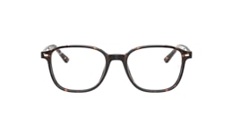 ray-ban Glasses rb5393 leonard optics