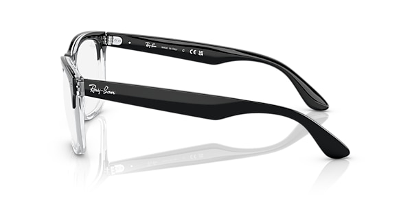 RB4487V STEVE OPTICS