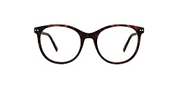 reincarnate Glasses tupaculo