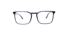 clearly Glasses pine