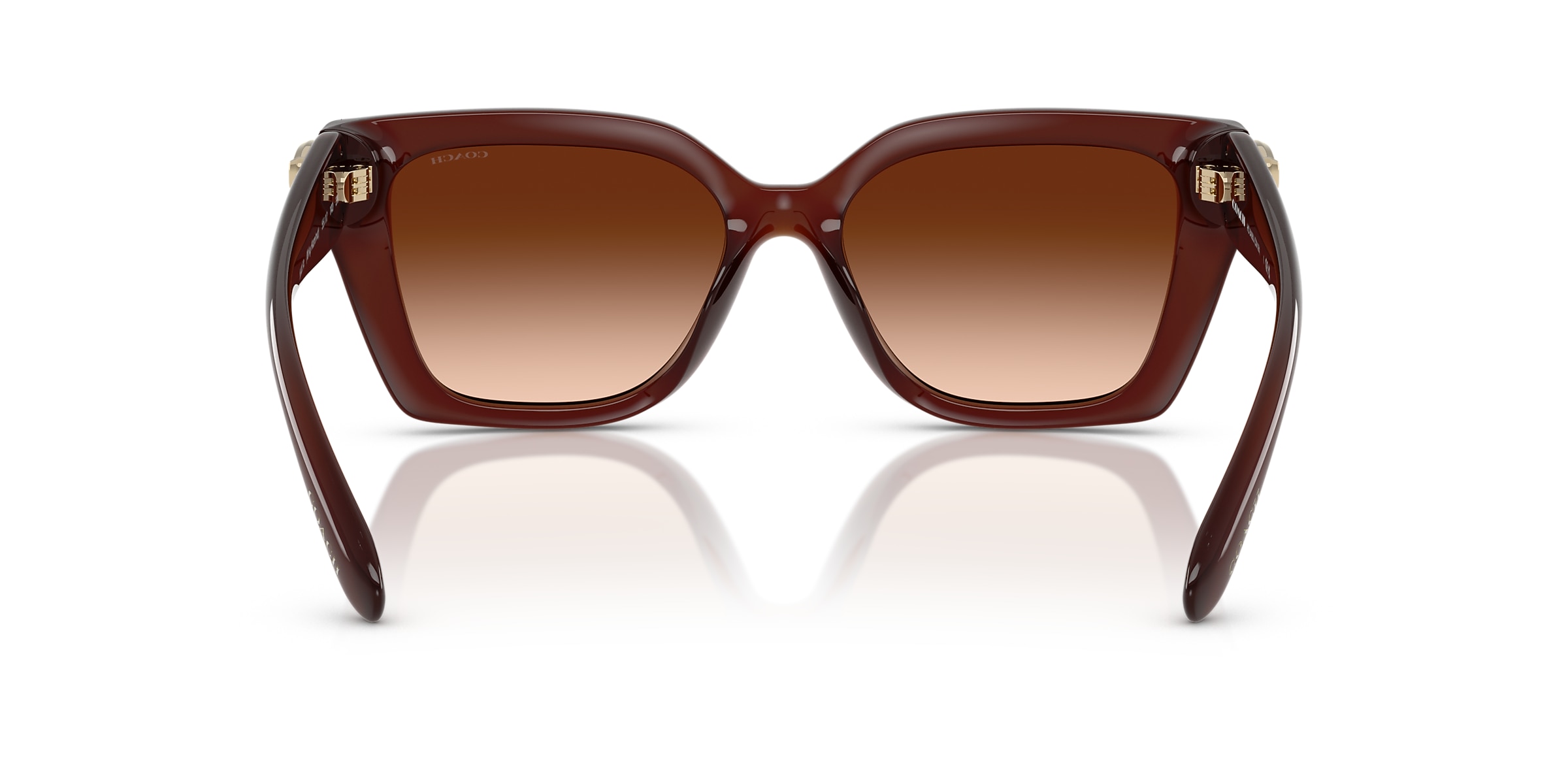 Coach Sunglasses HC8408U CW195