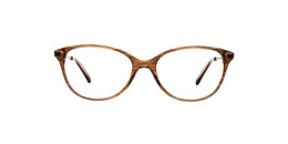 kam dhillon Glasses caroline