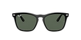 Ray-Ban Sunglasses RB4487 STEVE