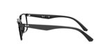 RB7176 OPTICS