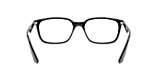 RB7176 OPTICS