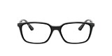 RB7176 OPTICS