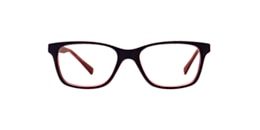 clearly Glasses fry