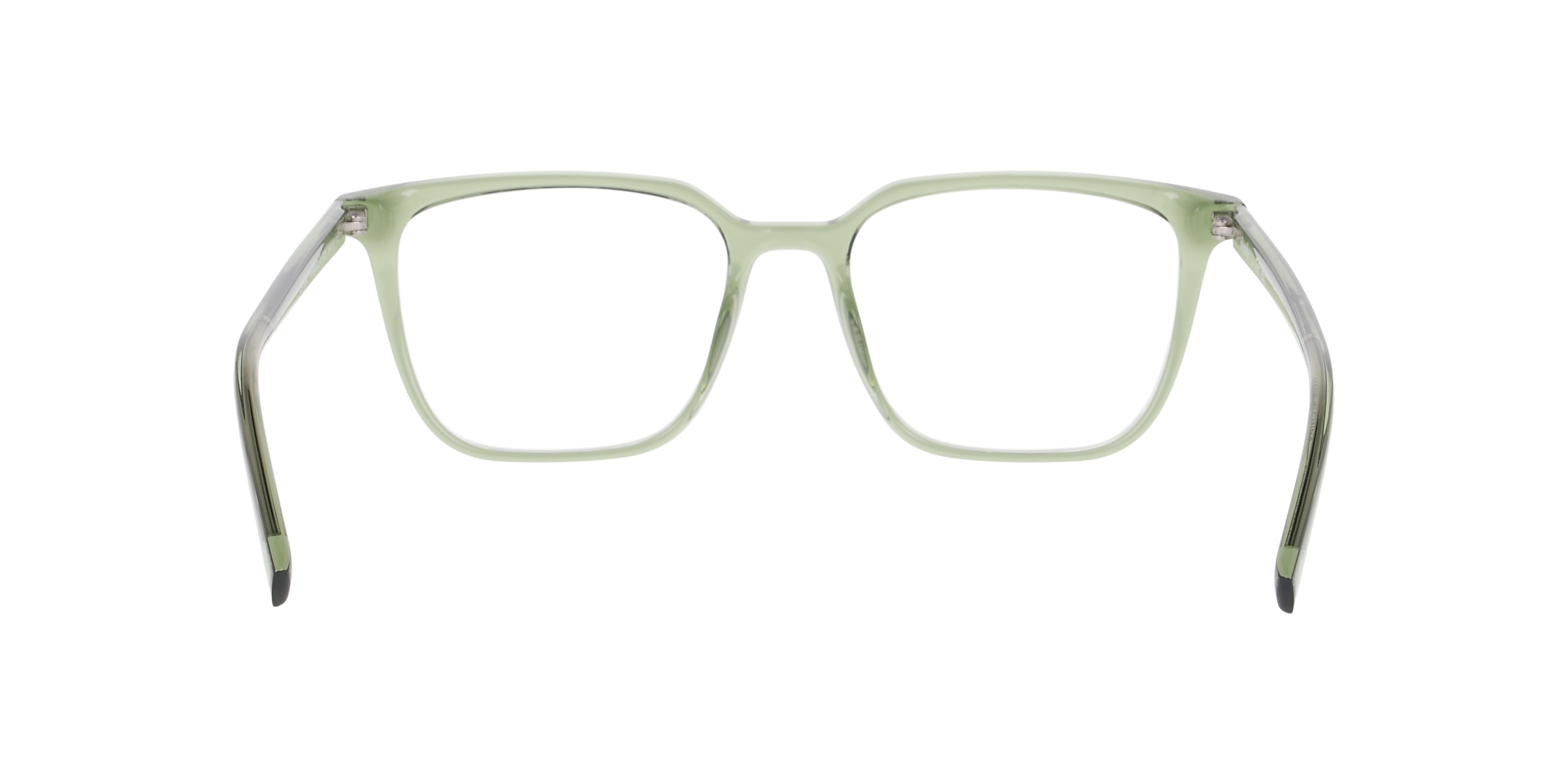 Clearly Glasses ARABELLA