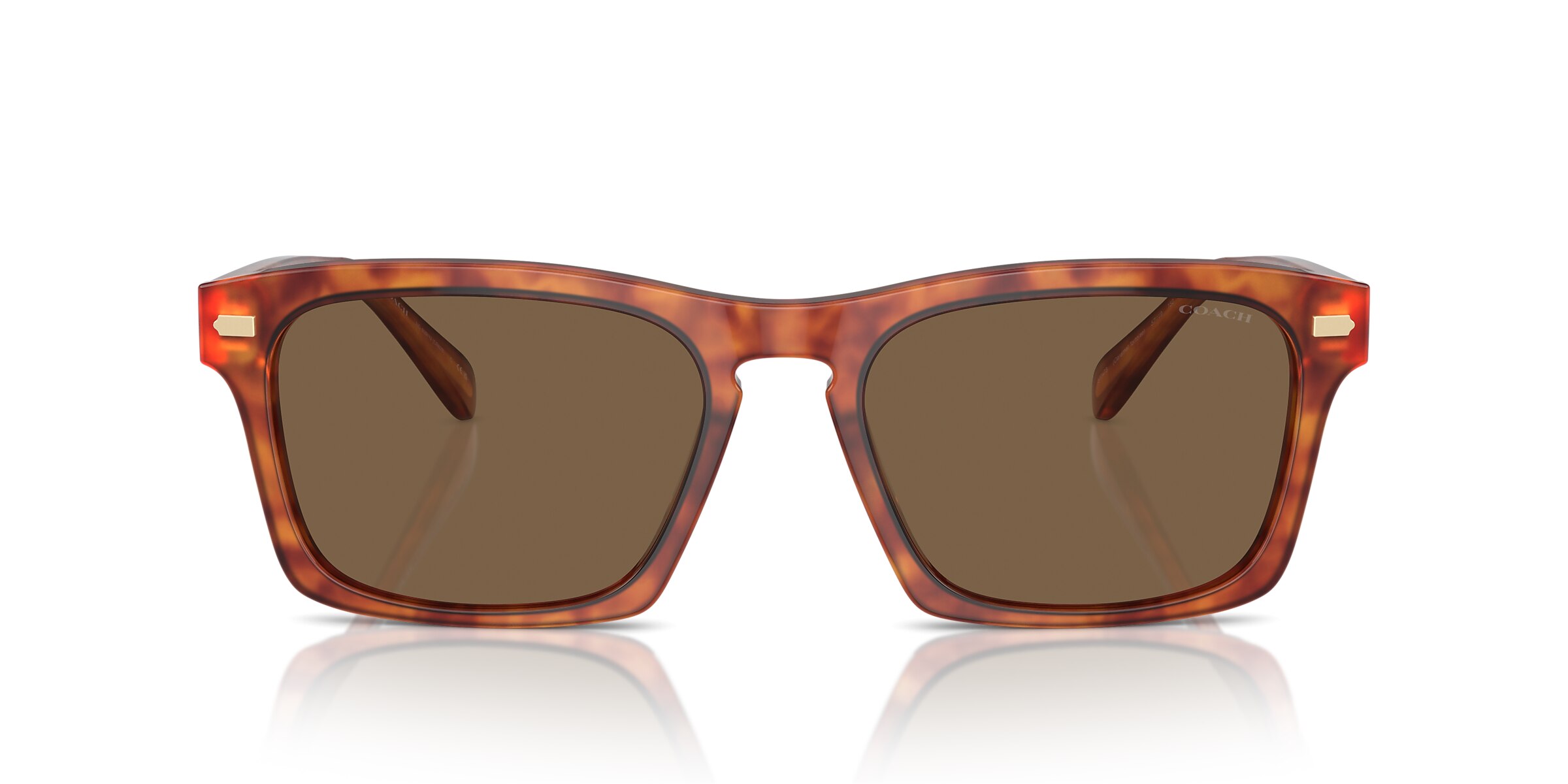 Coach Sunglasses HC8397U CR628