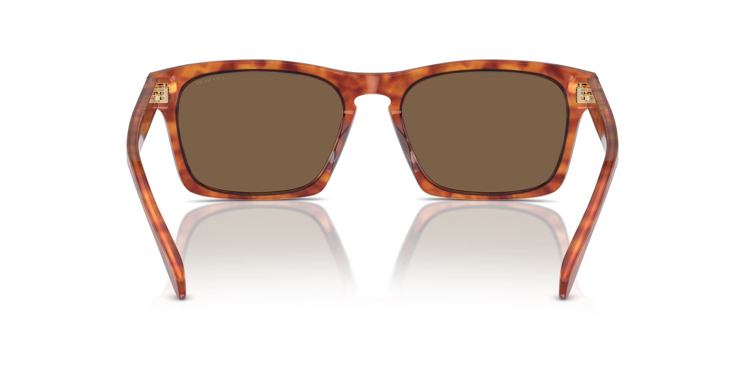 Coach Sunglasses HC8397U CR628