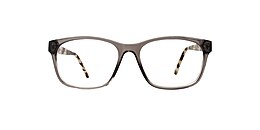 main and central Glasses turtle bay