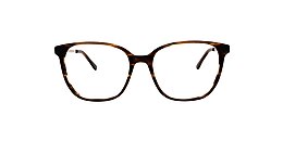 clearly Glasses hegemone