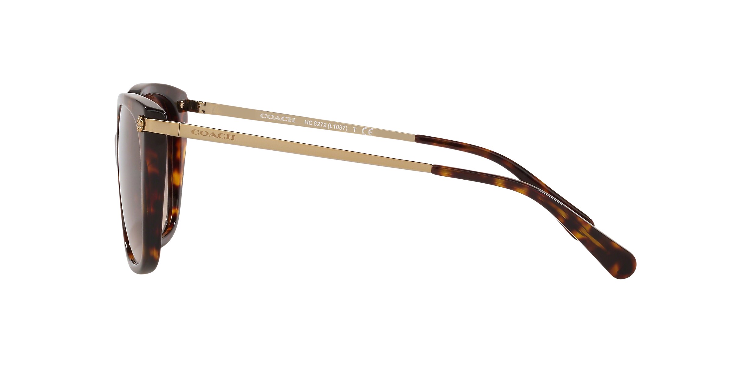 Coach Sunglasses HC8272 L1097