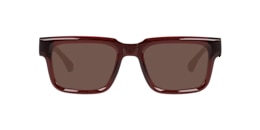 clearly Sunglasses palm tree