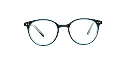 clearly Glasses silver dollar
