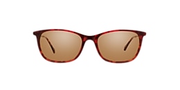 kam dhillon Glasses diana