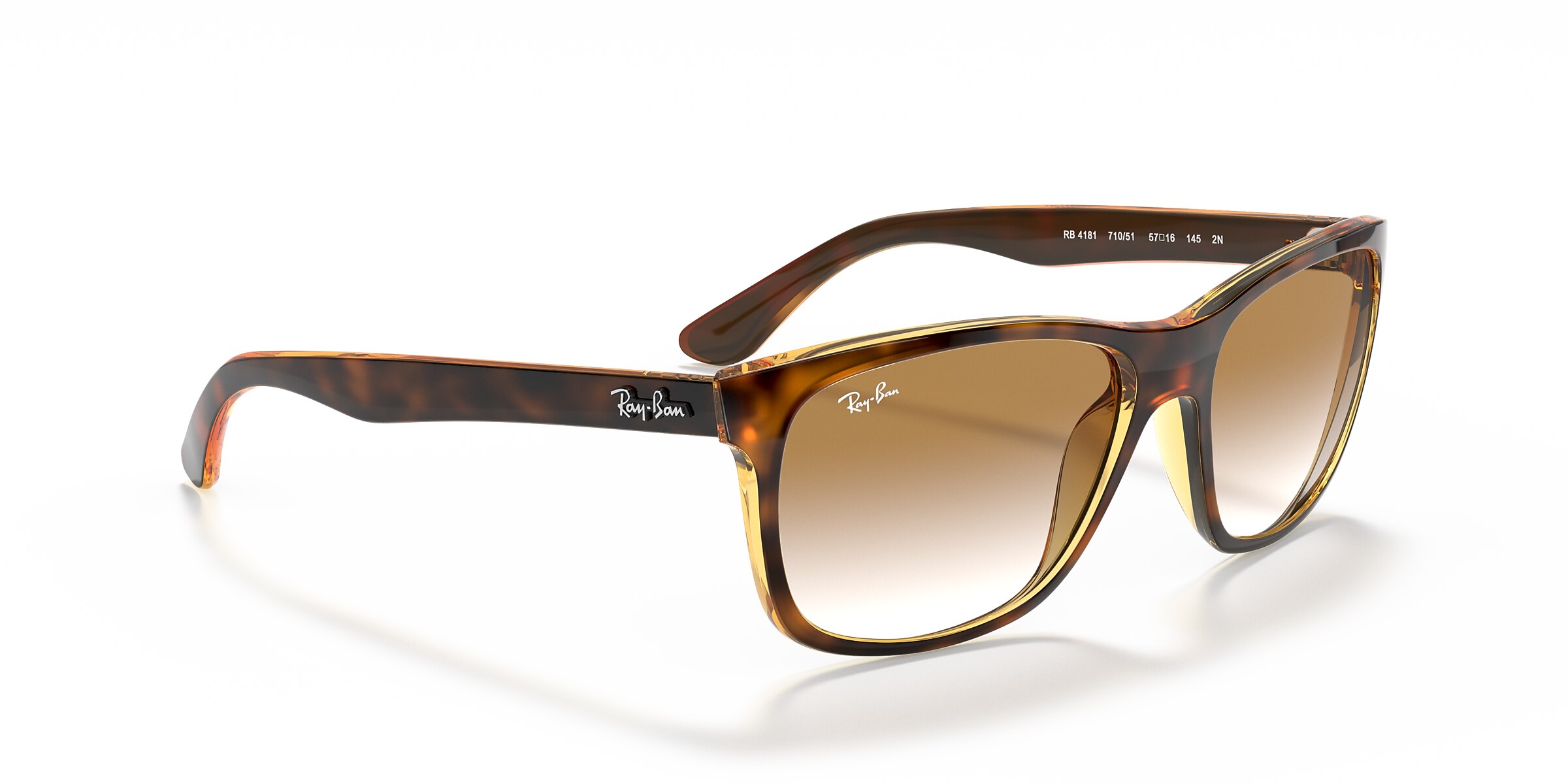 Ray-Ban Sunglasses RB4181