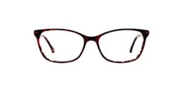 kam dhillon Glasses susan