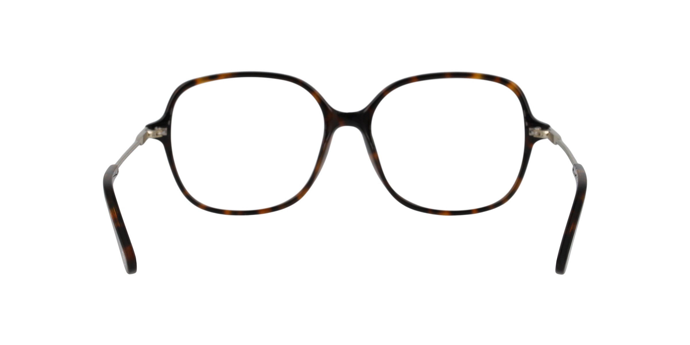 Clearly Glasses ELEPHANT