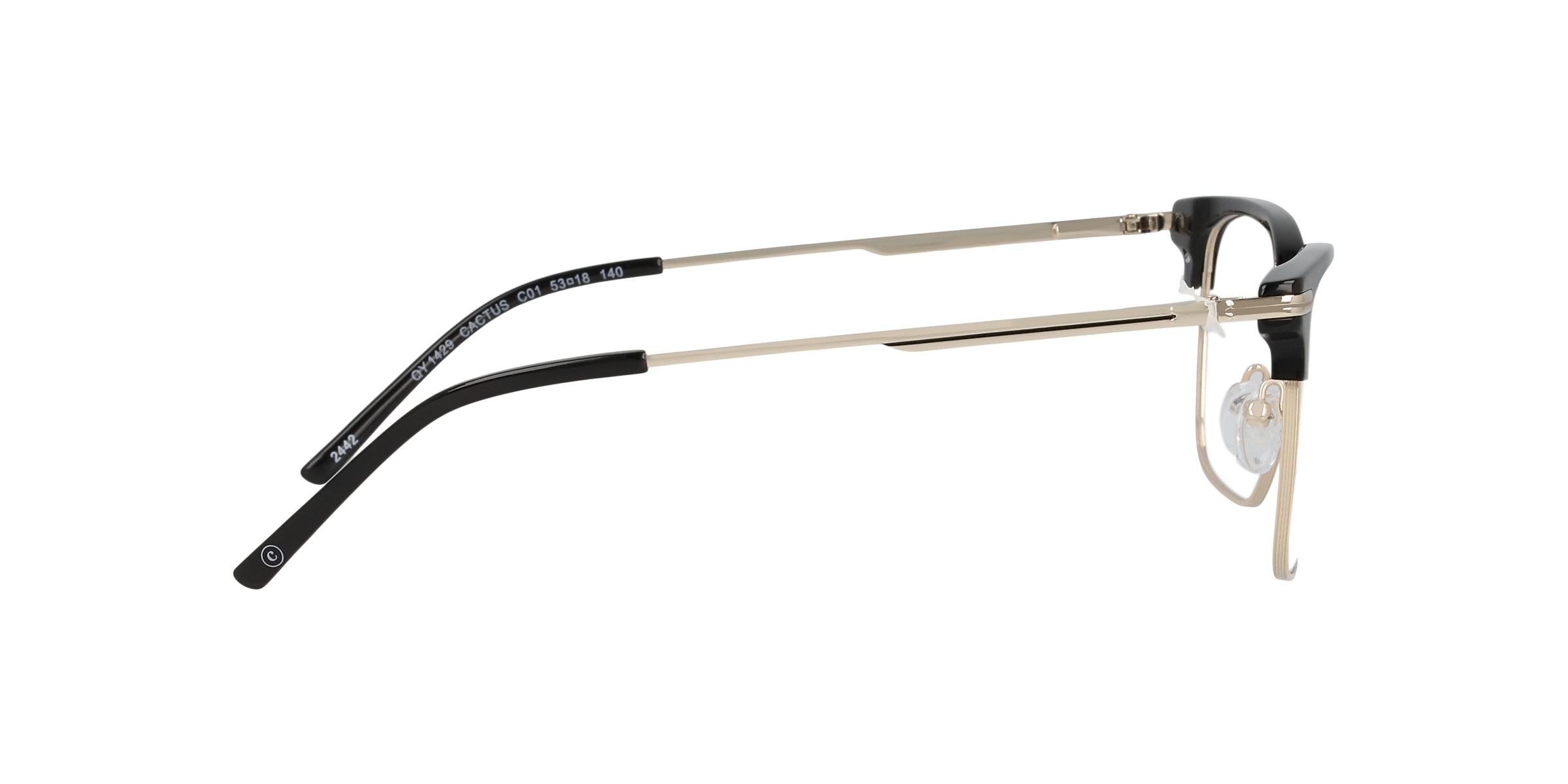 Clearly Glasses CACTUS