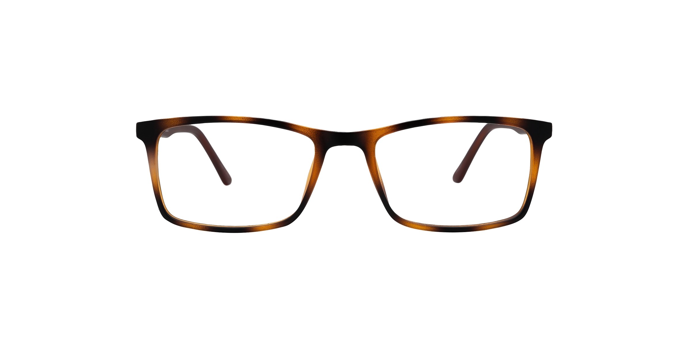 Clearly Glasses WASAGA